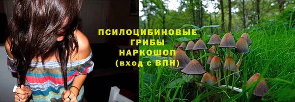 a pvp Коряжма