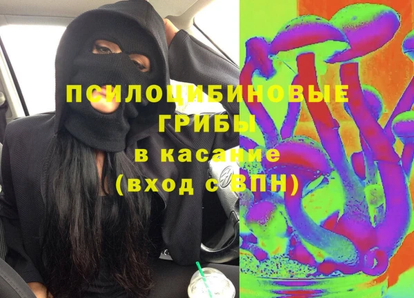 шишки Козельск