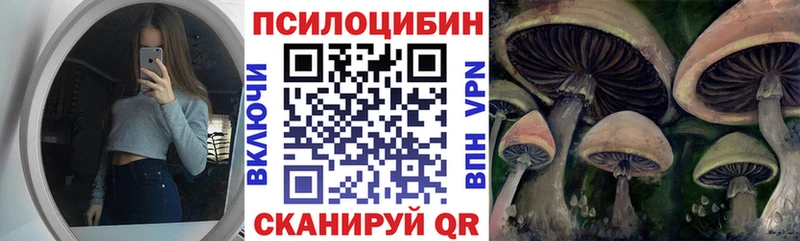 Купить где  Лысьва  Галлюциногенные грибы MAGIC MUSHROOMS 